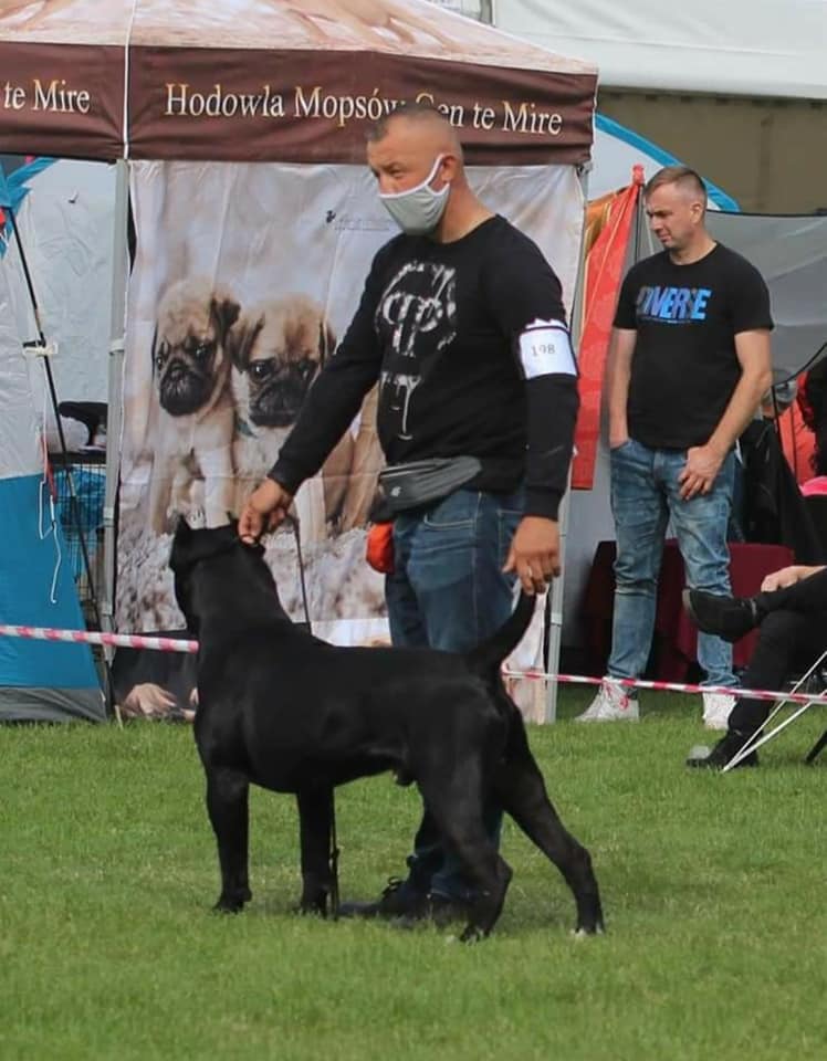 210761367_523799155727435_6661144724603361583_n