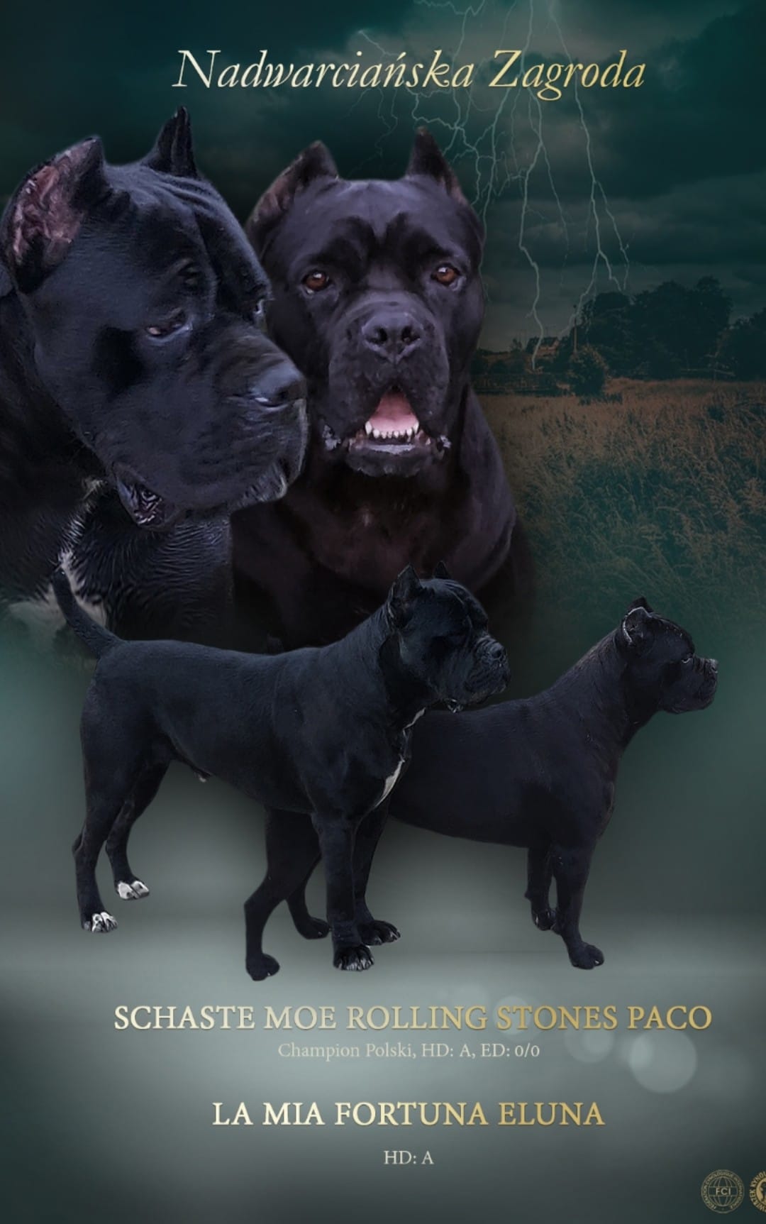 230193878_547316973375653_3360122696596812525_n