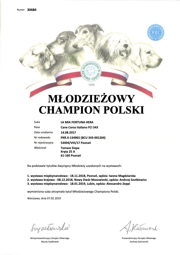 PKR_II-134965_(BCU_343-001264)-MŁCHPL